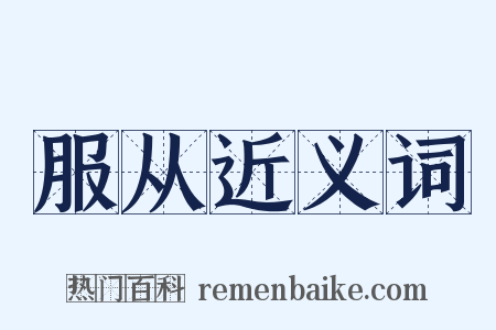 服从近义词是什么意思的图片